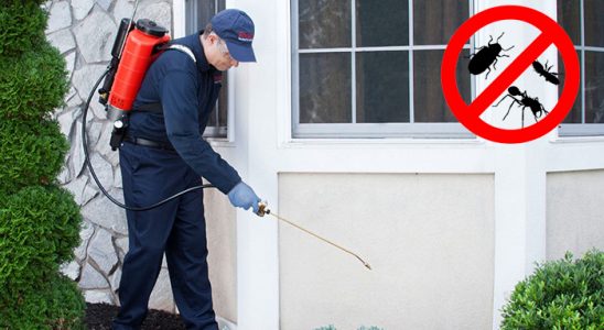 Palandöken Böcek İlaçlama böcek ilaçlama ve haşere kontrolü — ilaclama-tr.com